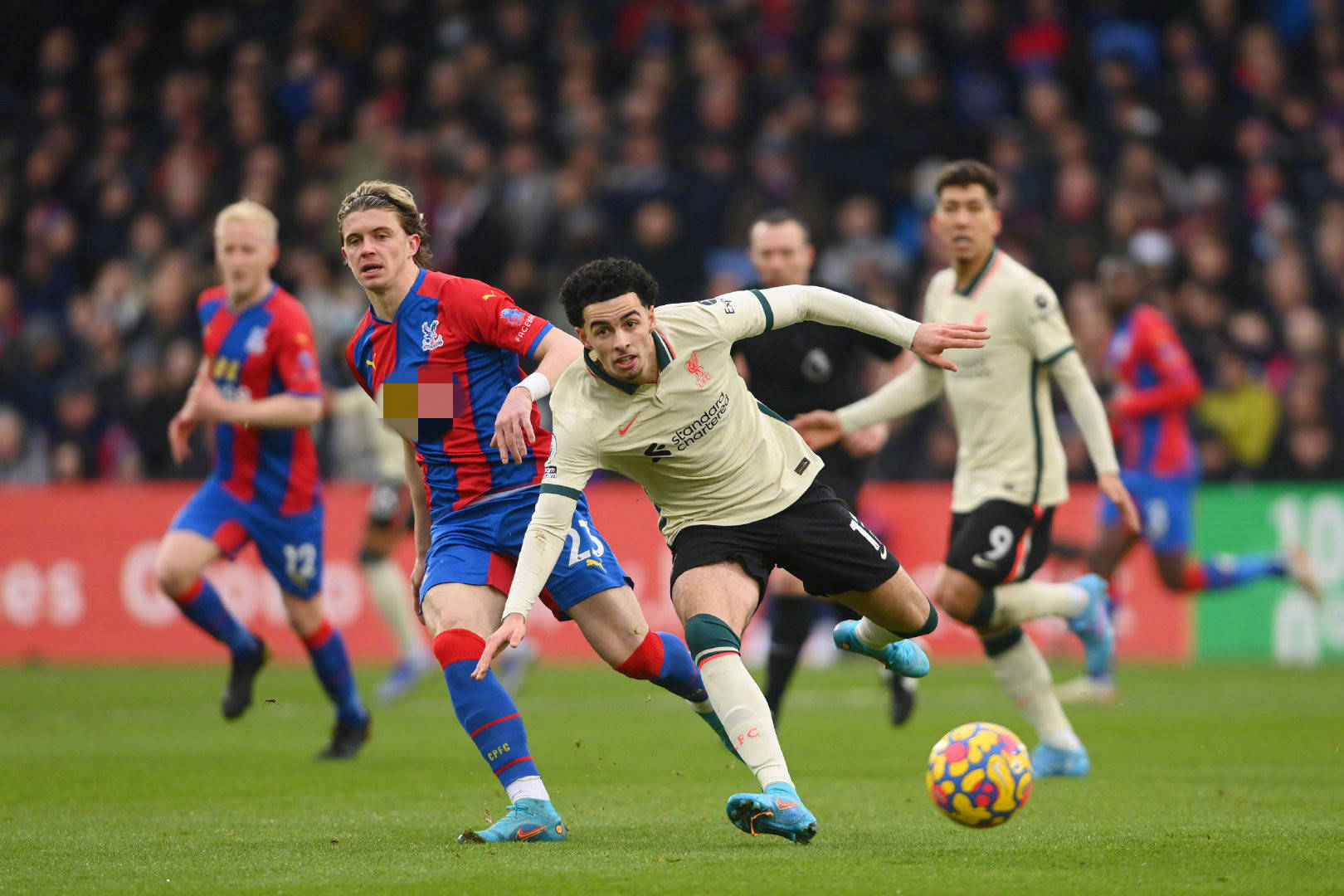 许并不算高 许并不算高