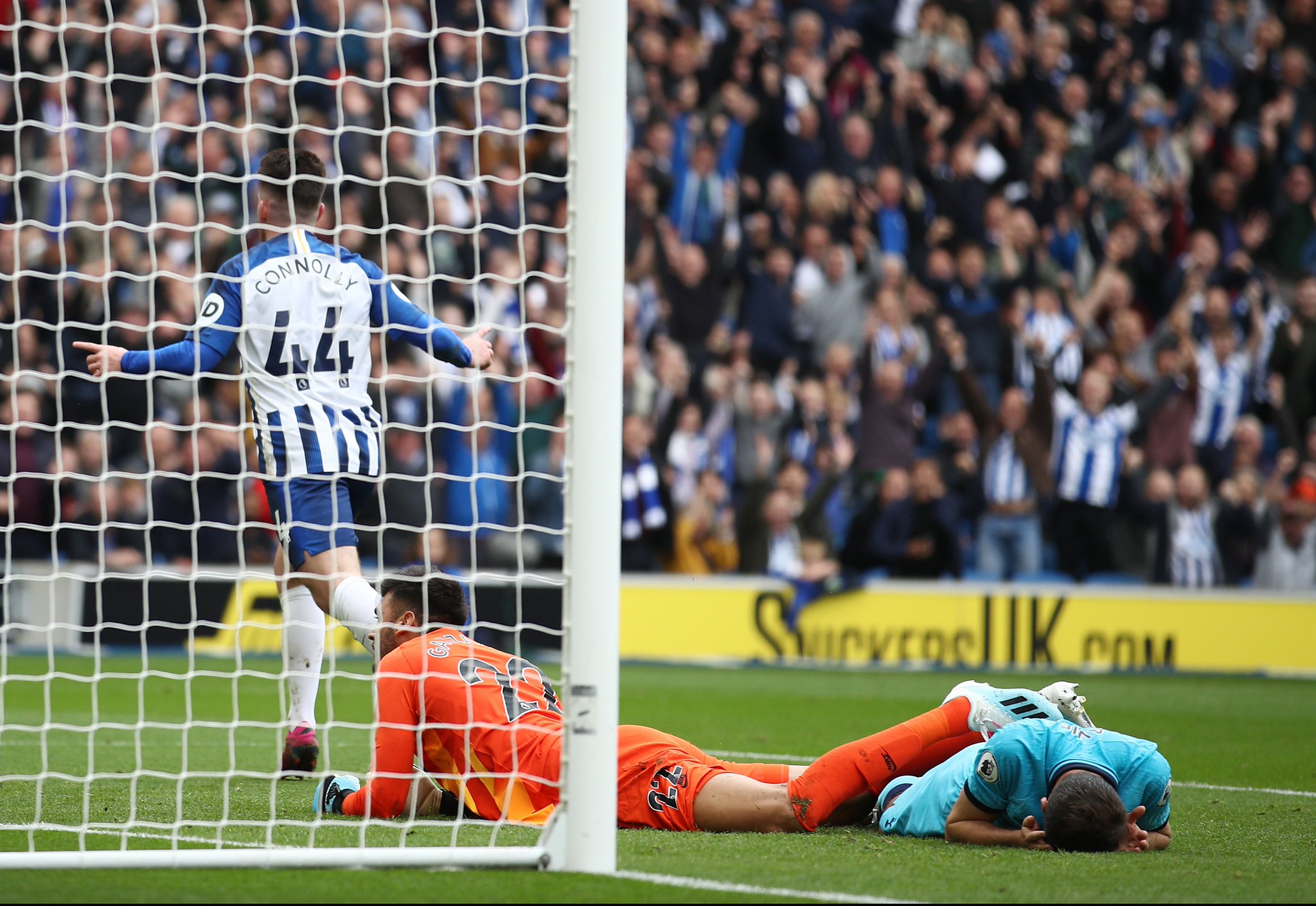 塔兄弟的事 塔兄弟的事